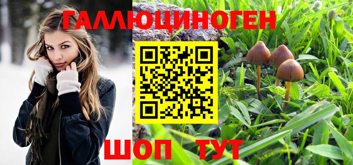 Осинники  Галлюциногенные грибы мухоморы  Вход с VPN 