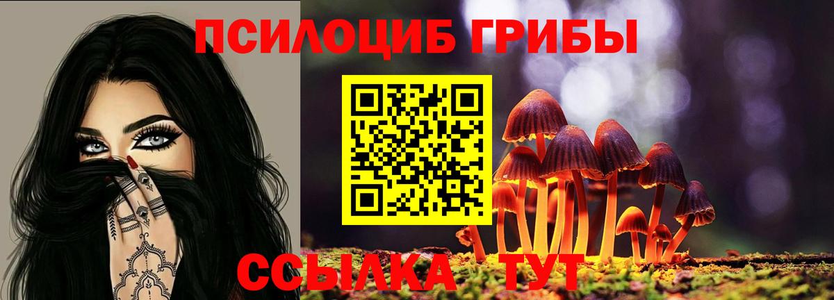 Псилоцибиновые грибы прущие грибы Осинники